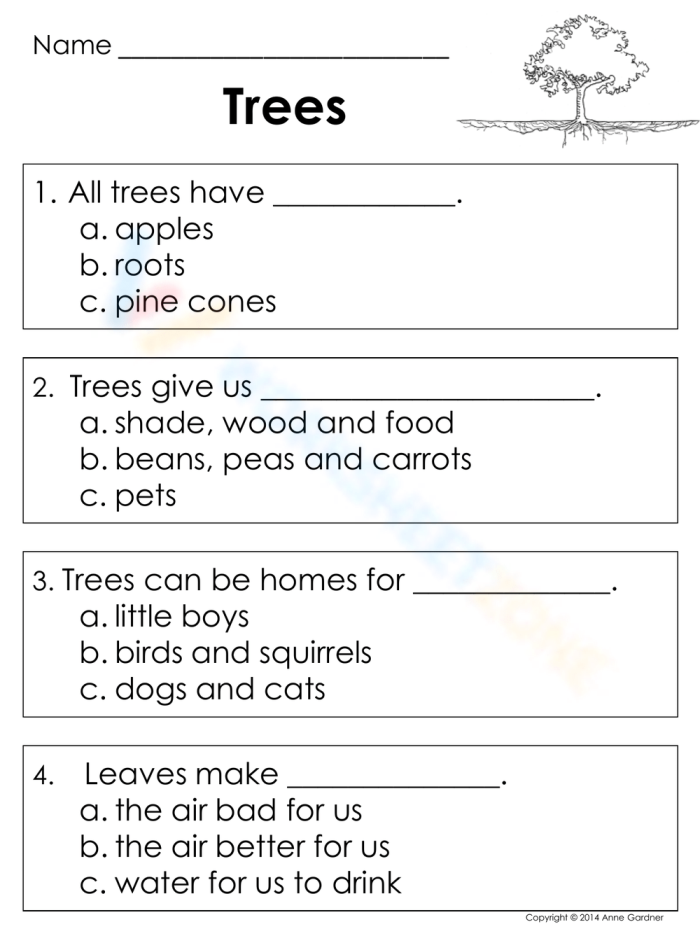 Kindergarten student labeling tree parts on a science worksheet with roots, trunk, branches, and leaves