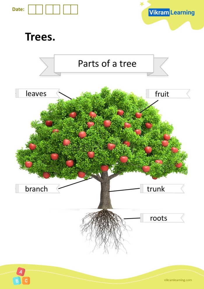 Kindergarten science worksheet for labeling the parts of a tree