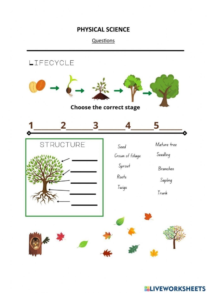 Kindergarten science worksheet for labeling the trunk, branches, leaves, and roots of a tree