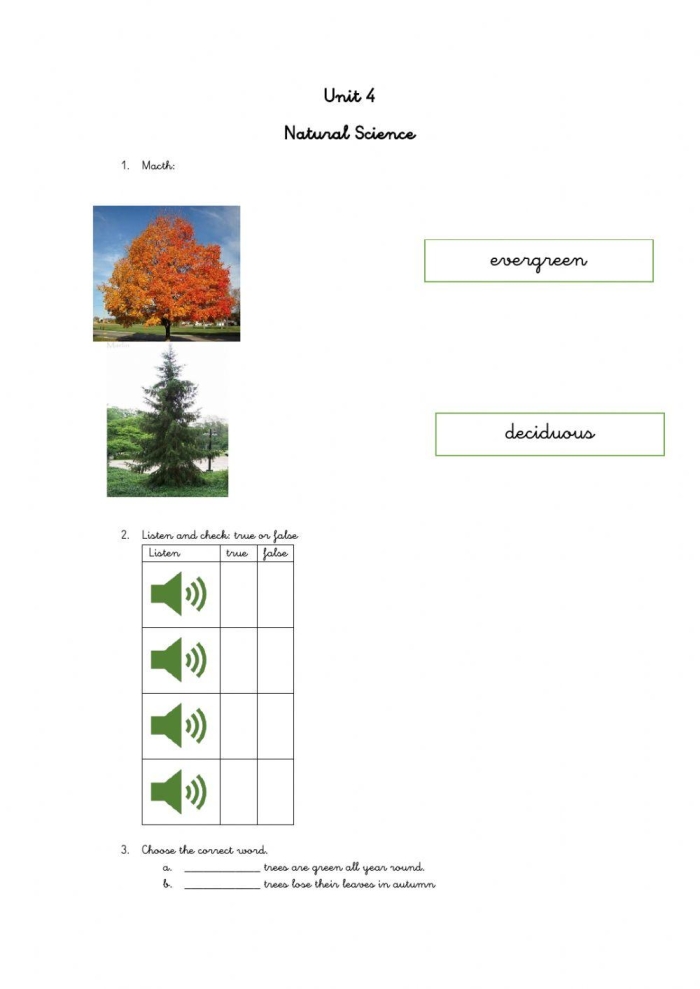 Kindergarten student completing an All About Trees labeling science activity