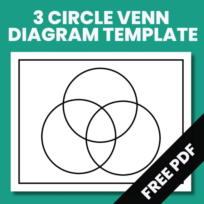 Venn diagram worksheet for kindergarteners to sort past and present activities