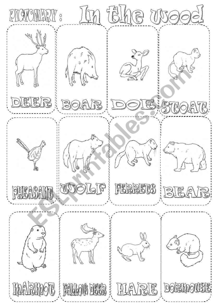 Kindergarten life science worksheet for matching woodland animals to their names
