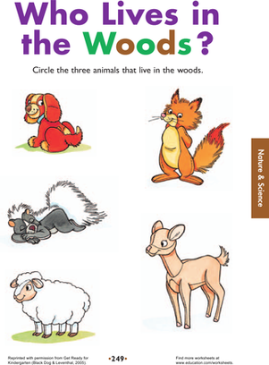 worksheet featuring matching activities for kids about woodland creatures