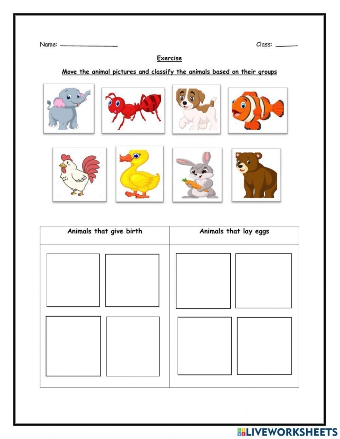 Engaging activity sheet for learning about egg-laying animals in kindergarten Colorful worksheet featuring various animals that hatch from eggs for kindergarten students