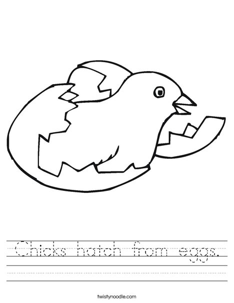 Engaging animals that hatch from eggs worksheet for early learners Colorful worksheet featuring animals that hatch from eggs for kindergarten students