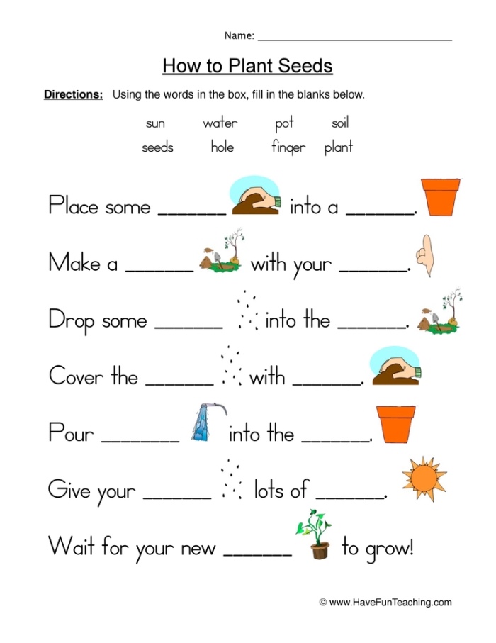 Illustration of a worksheet showing how plants grow, designed for kindergarten students
