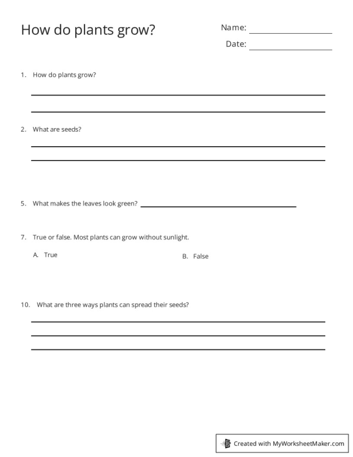 Kindergarten worksheet featuring a diagram that illustrates the basic process of how plants grow