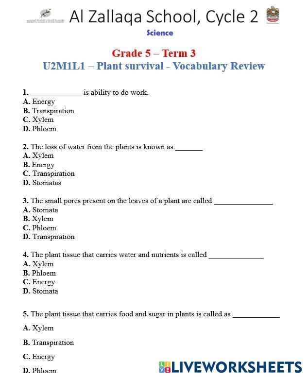 Plant Survival Needs Worksheet for Kindergarten Botany Lesson 4 Kindergarten worksheet page featuring illustrations of essential plant growth factors