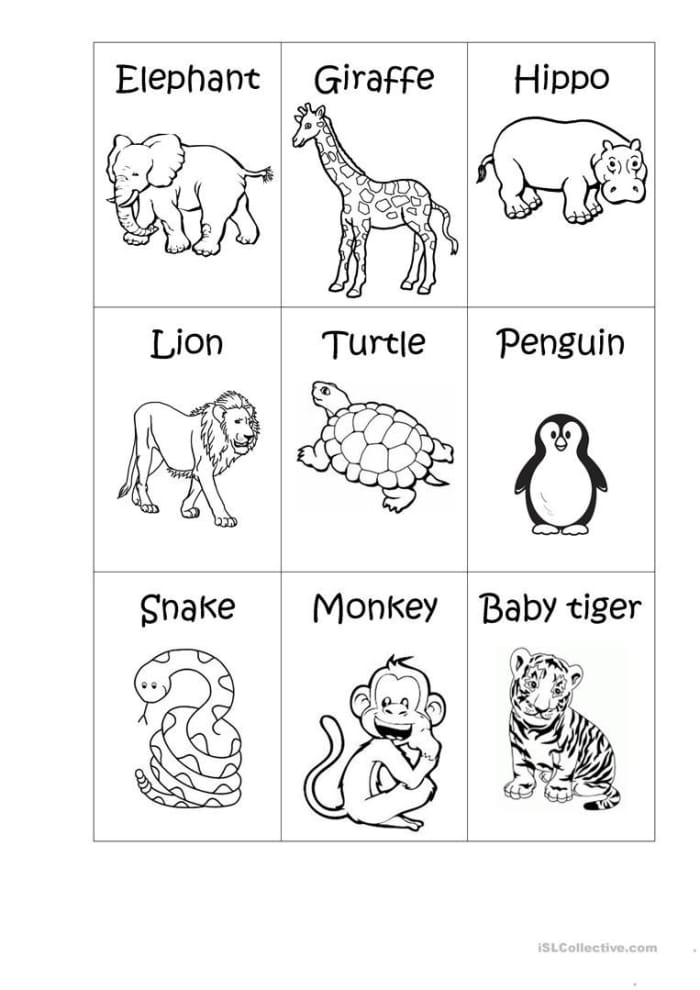 At the Zoo Multiplication Activity Sheet 11 Kindergarten multiplication worksheet featuring cute zoo animals for identifying adjectives