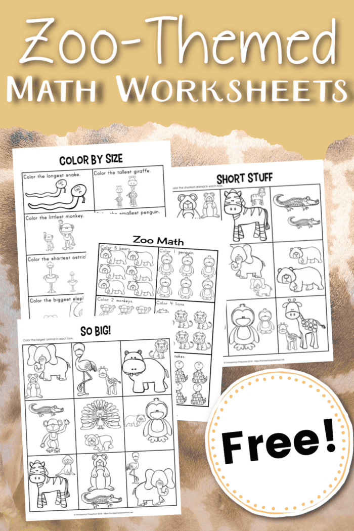 Fun and engaging multiplication worksheet featuring zoo animals for young learners Kindergarten At the Zoo worksheet for practicing multiplication and adjective identification