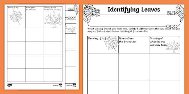 Worksheet featuring the number 5 for early math learning in Pre-K