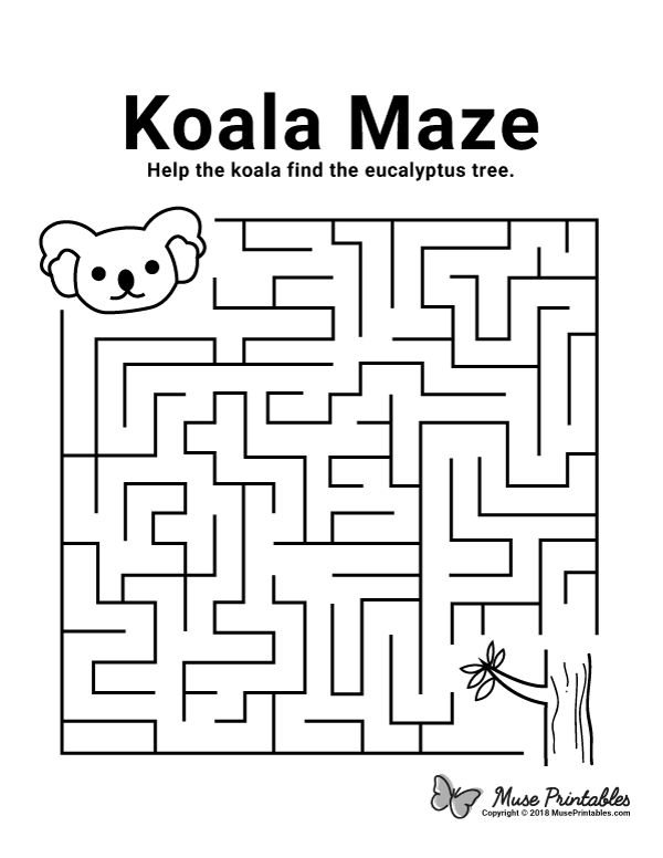 First grade life science worksheet featuring a cute koala for students to color