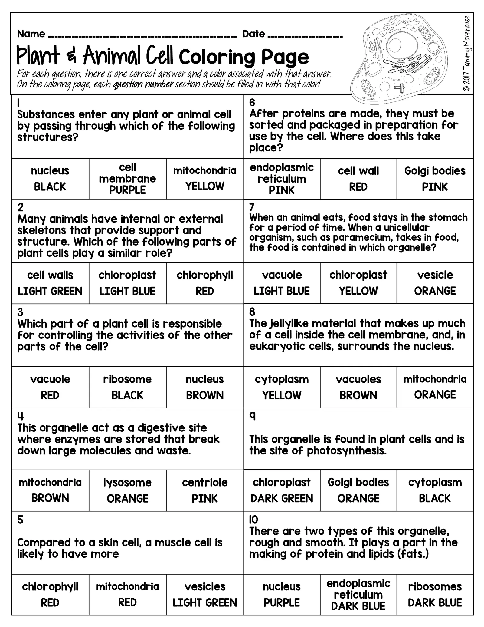 Sixth grade students label the parts of an animal cell in this science worksheet numbered eleven