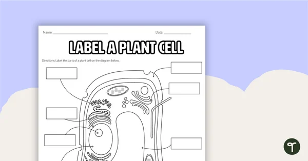 Sixth grade student worksheet for labeling the parts of an animal cell