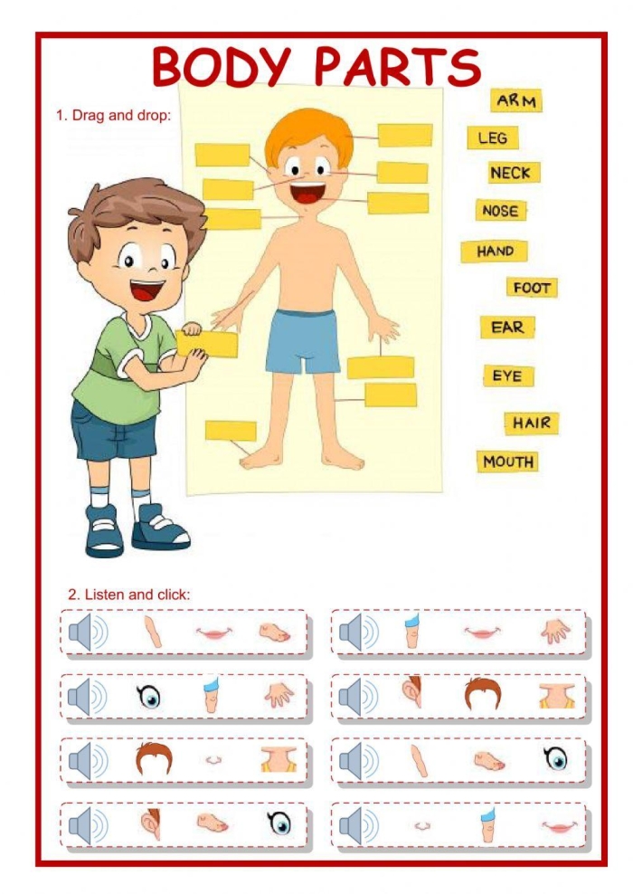 First grade student worksheet featuring illustrations to label various human body parts