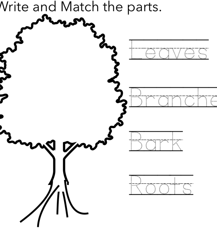 First grade life science worksheet featuring a colorful diagram of tree parts for students to label