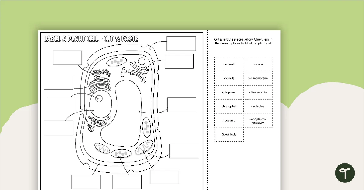 Diagram of an animal cell for Level 1 labeling activity in sixth grade life science