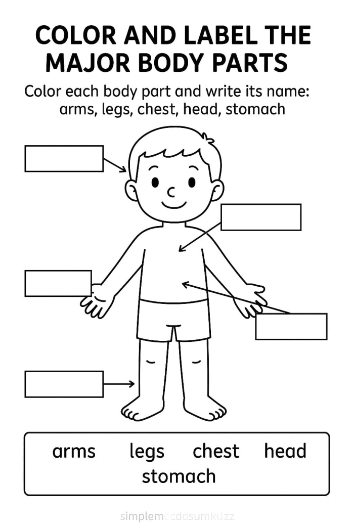 Worksheet featuring body parts for labeling and reading practice