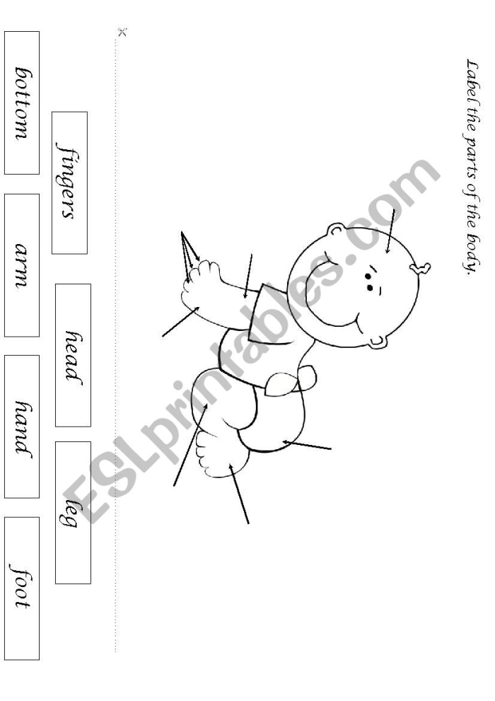 Kindergarten student filling out a label the body parts worksheet for reading practice