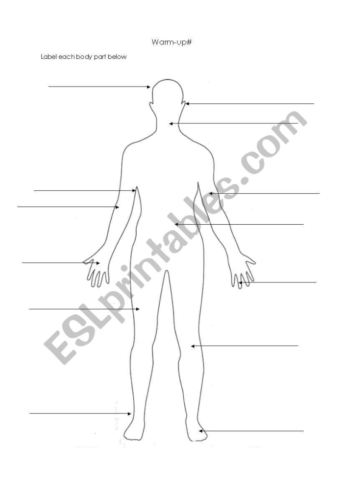 Illustration of a Label the Body Parts worksheet designed for kindergarten students