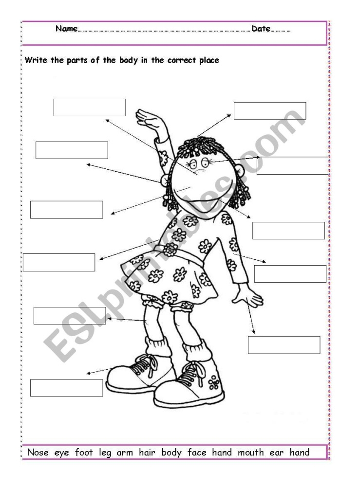 Kindergarten student completing a Label the Body Parts worksheet for reading practice