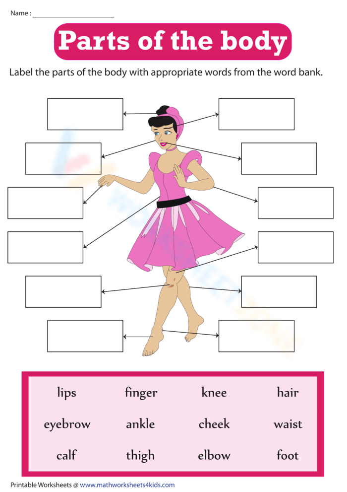 Worksheet for labeling body parts aimed at kindergarten students to enhance reading skills