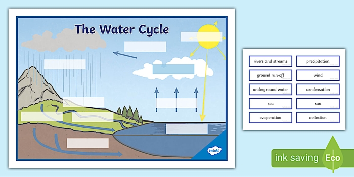 First grade student completing a cut and paste worksheet to label the water cycle stages