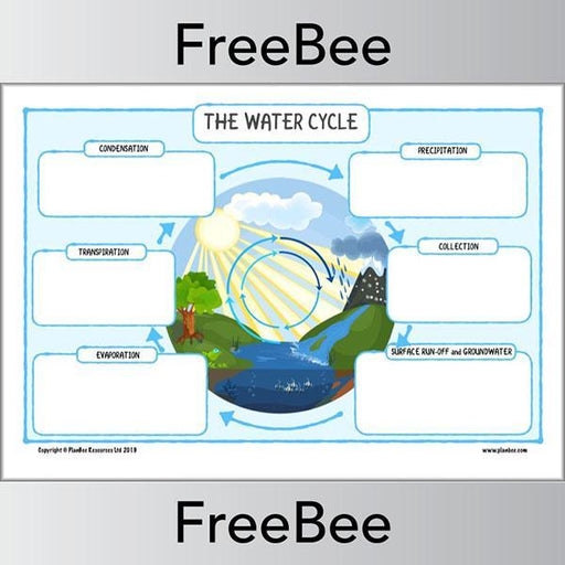 First grade student completing a cut and paste activity to label the water cycle worksheet