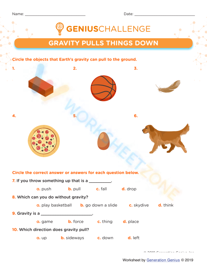Law of Gravity worksheet for fifth graders exploring Newton's Law of Gravitation