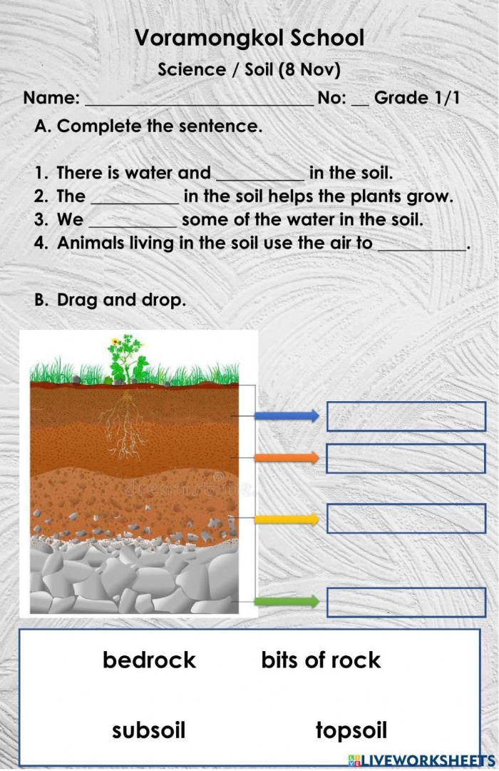 Engaging Layers of Soil worksheet for young learners to discover the different soil layers and their unique ecosystems. Colorful illustration of the layers of soil with descriptions of each layer's characteristics and inhabitants. Educational worksheet for second graders exploring soil science concepts.