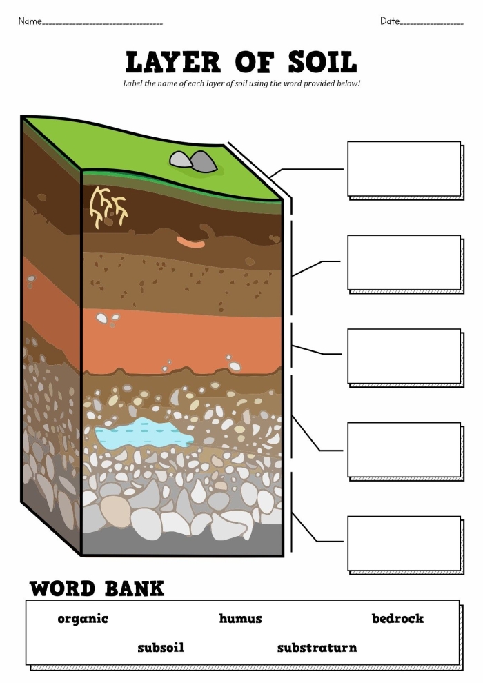 Layers of Soil worksheet for grade two science students number thirteen Second grade science worksheet illustrating the distinct layers of soil and underground habitats