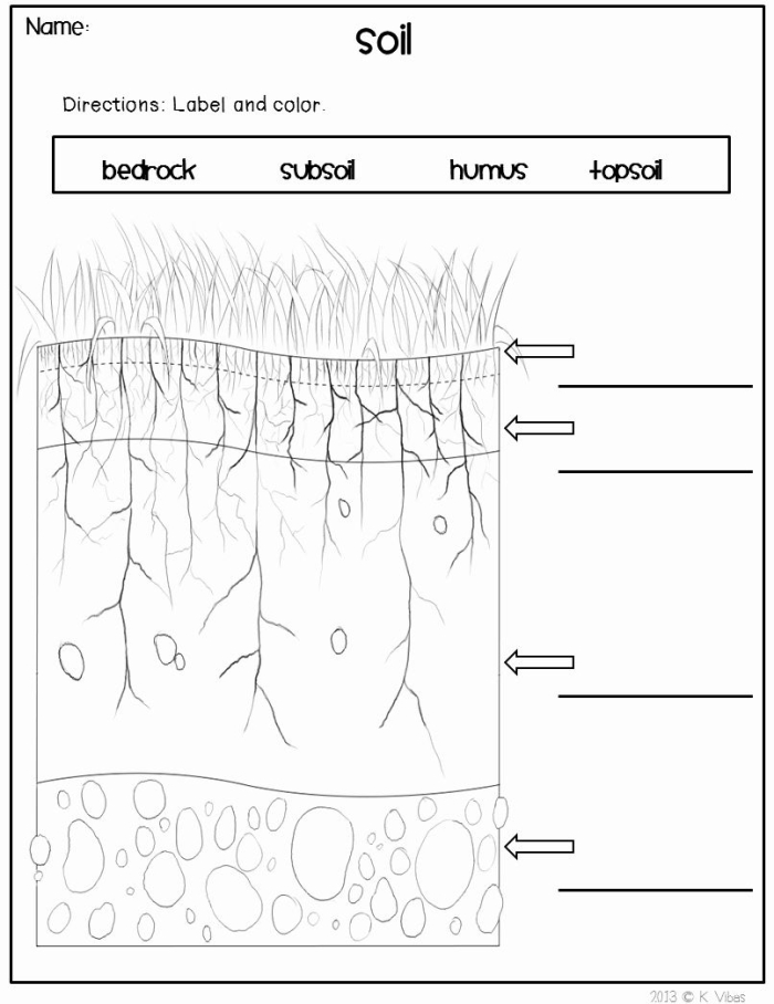Grammar and Mechanics worksheet for Second Grade Colorful illustration of the layers of soil, highlighting each layer's characteristics for young learners. Engaging Layers of Soil worksheet for second graders exploring earth science.