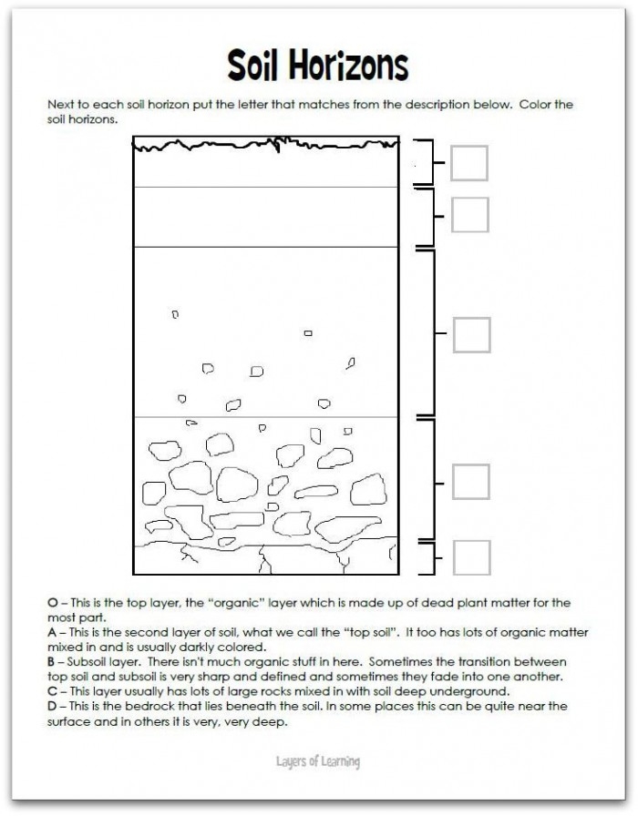 Layers of Soil Worksheet Number 18 Second grade students labeling the different horizons and soil layers in this earth science worksheet