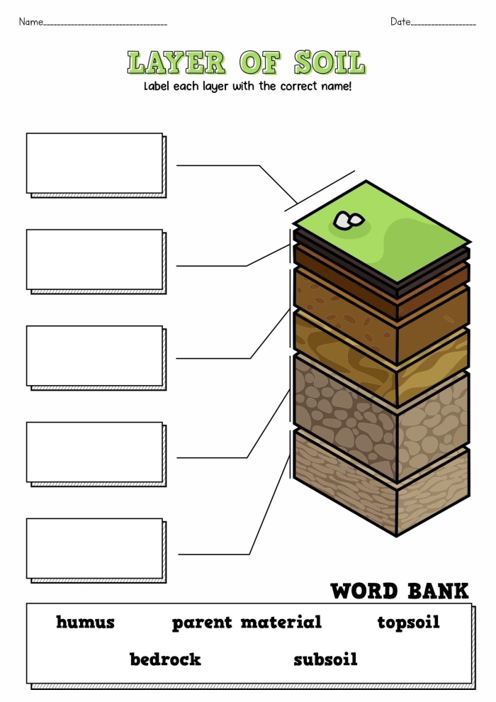 Educational resource for understanding soil layers and their ecosystems Layers of soil worksheet for second graders exploring earth's layers and inhabitants