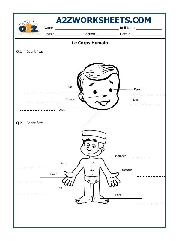 Illustration of a Le Corps worksheet for third graders learning body parts in French
