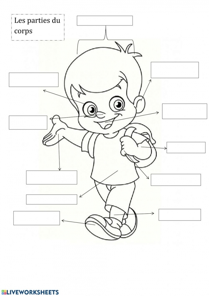 Worksheet for identifying body parts in French for third graders
