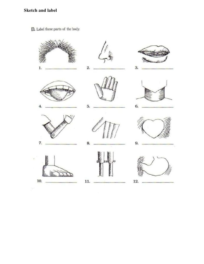 Interactive worksheet for learning body parts in French for third graders