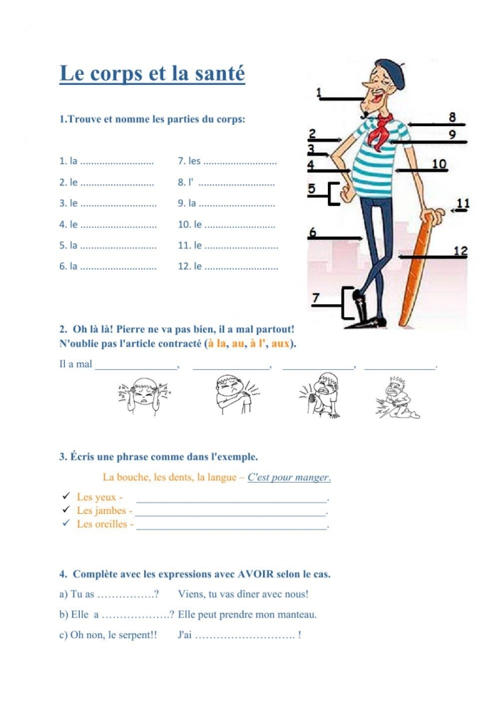 Worksheet featuring the parts of the body in French for third graders