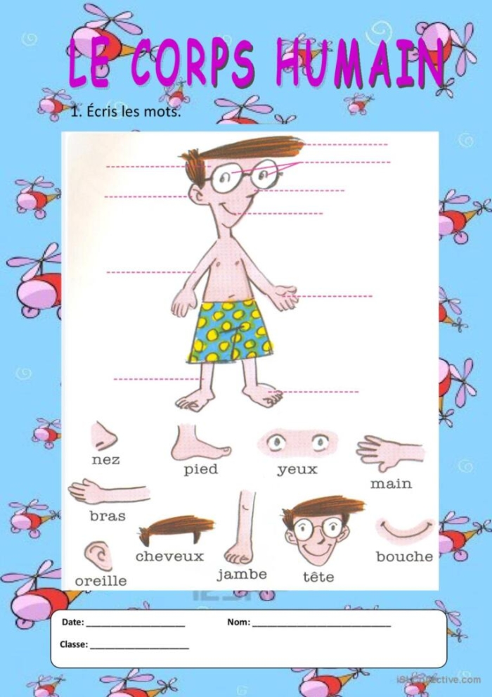Illustration of a worksheet for learning body parts in French for third graders