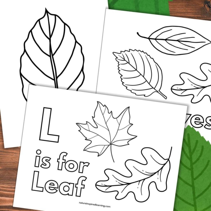 Second grade math worksheet featuring a leaf themed dot to dot activity for counting by twos
