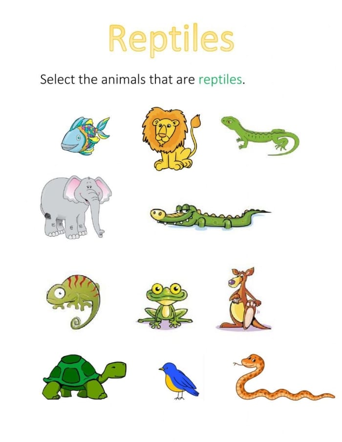 Critter Classification Amphibians Worksheet Number Ten First grade student worksheet for identifying amphibian characteristics by circling animals