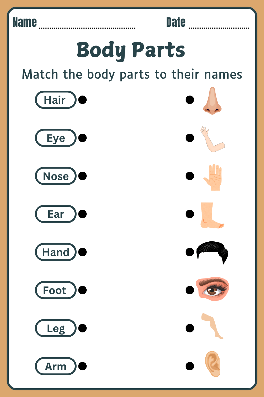 Fun and engaging Learn Body Parts worksheet for kindergarten students Worksheet for kids to identify and name body parts for early learning