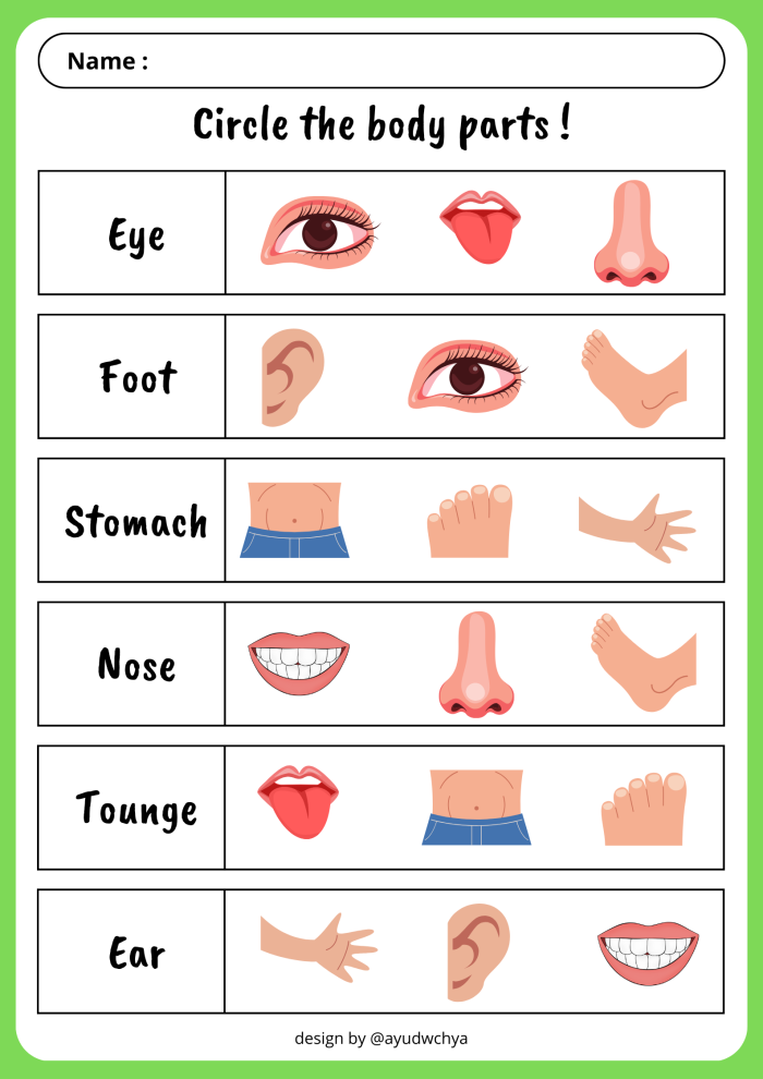 Educational resource for learning about body parts in a fun way Worksheet for identifying human body parts for kindergarten students