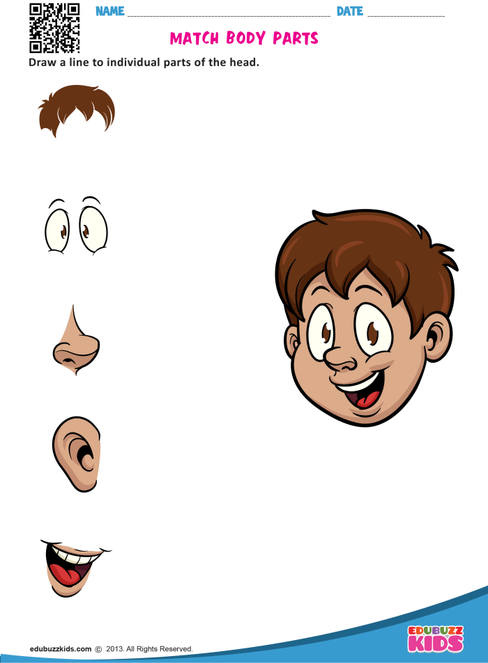 Engaging educational resource for teaching young children about anatomy Learn Body Parts worksheet for kindergarten students featuring labeled human body parts