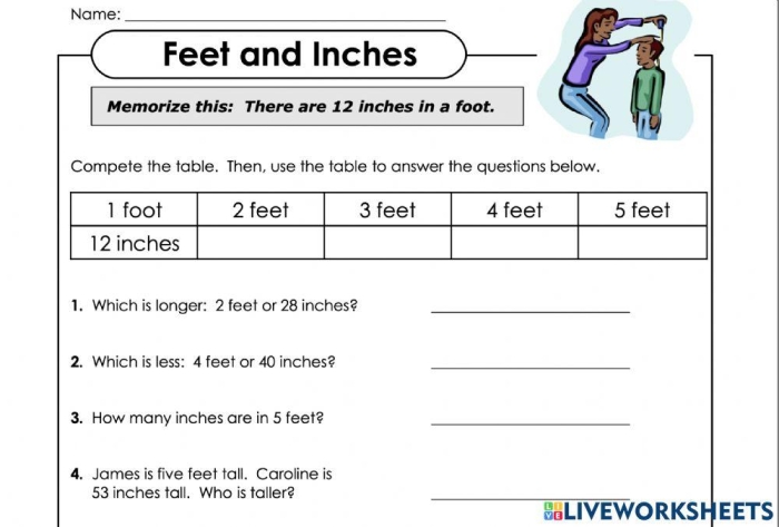 Diagram of a worksheet titled "Learn the Bone Zone" focusing on the bones of the hands and feet for fifth graders