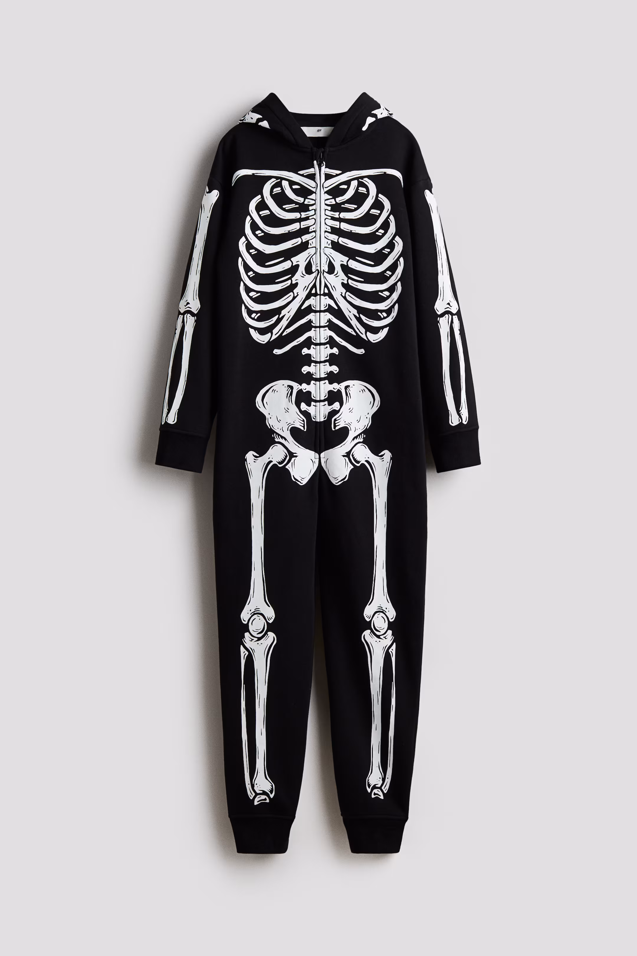 Fill-in-the-blank diagram of the human skull for fifth graders to learn about bone structures