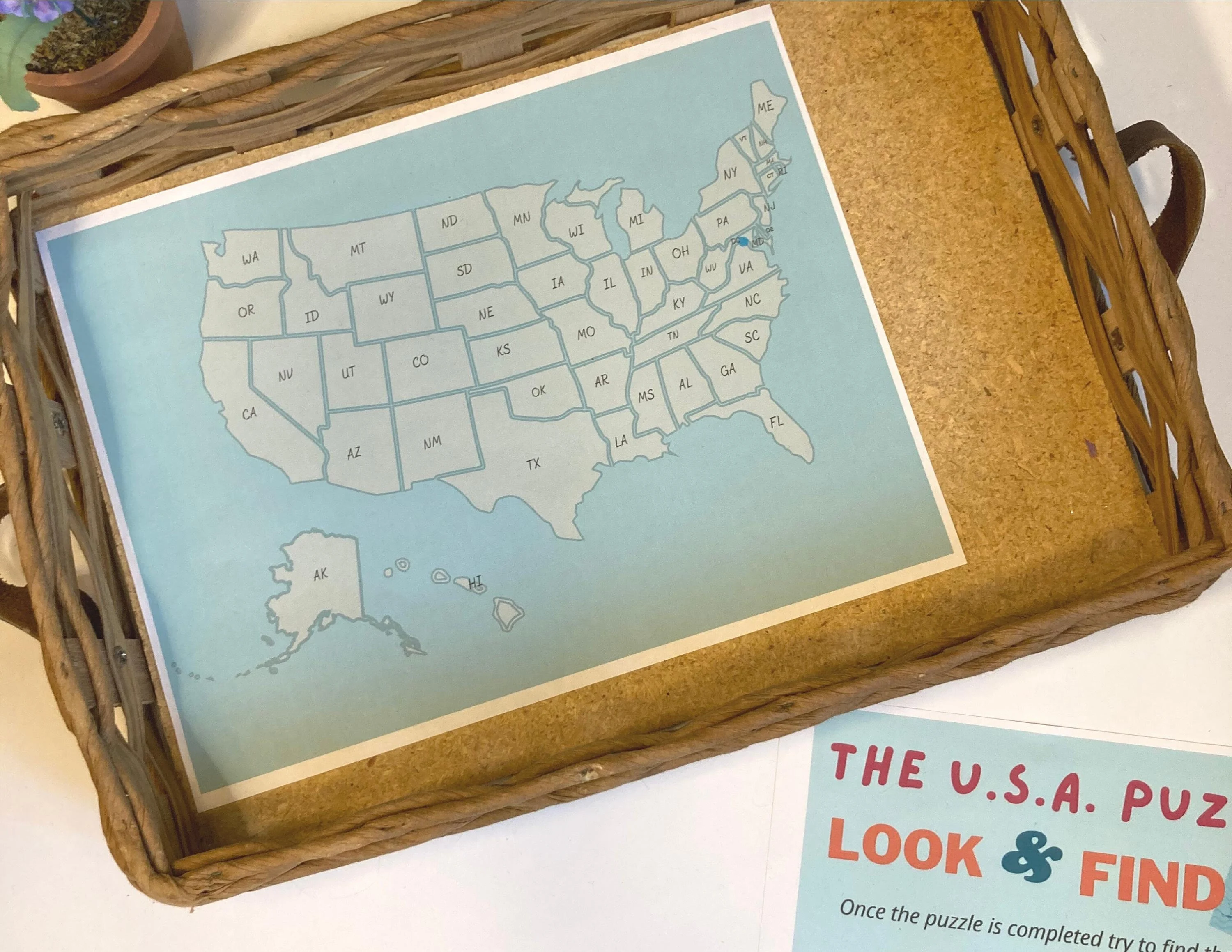 United States Puzzle worksheet for first graders to enhance map skills