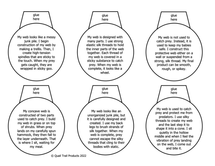 Engaging Halloween-themed geometry worksheet for creating right angles with Simon the Spider Spider Web Angles worksheet featuring Simon the Spider and 90 degree angles for geometry practice