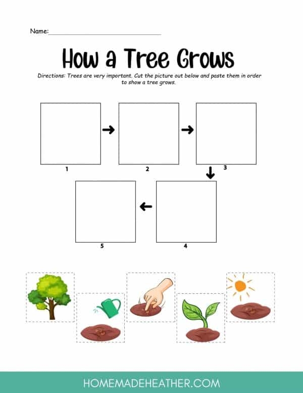 Colorful cut-and-paste tree chart for kids to explore tree knowledge
