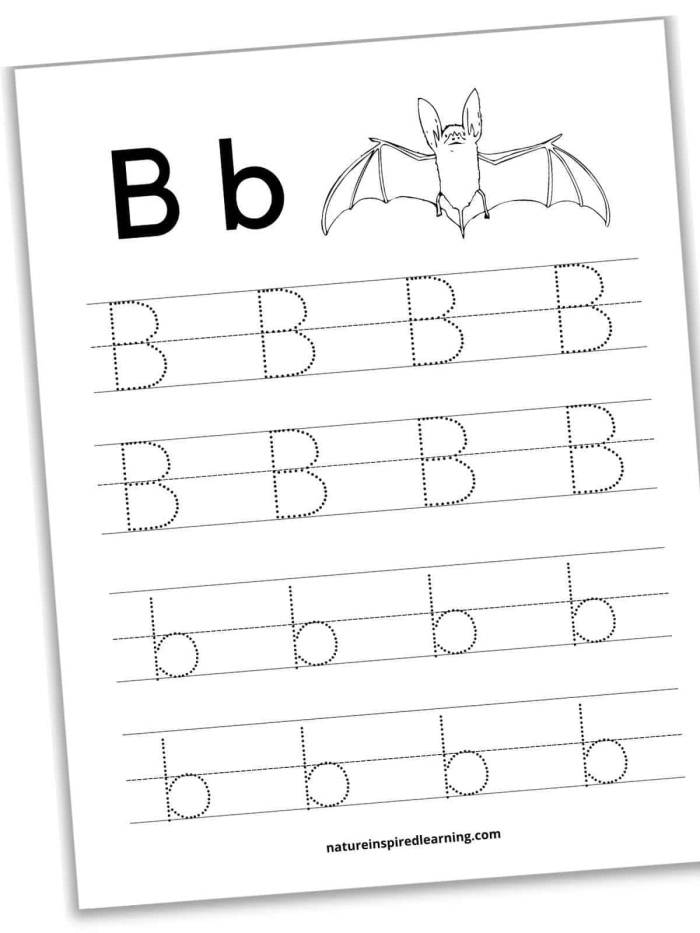 Letter B practice activity page for early learners worksheet 23 Preschool worksheet featuring illustrations of objects starting with the letter B for phonics practice